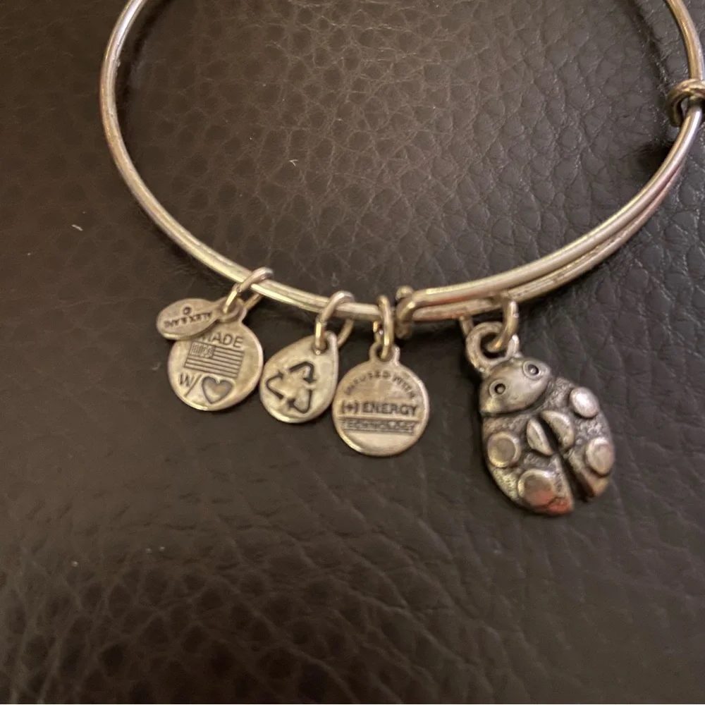 Alex and Ani bracelet